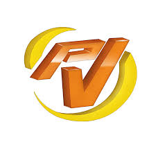 Logo Peravia Vision