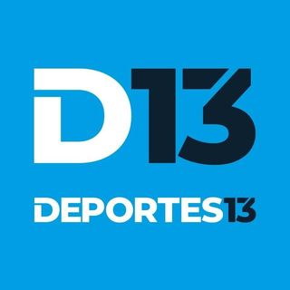 Logo D13
