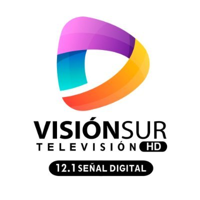 Logo Vision Sur Television