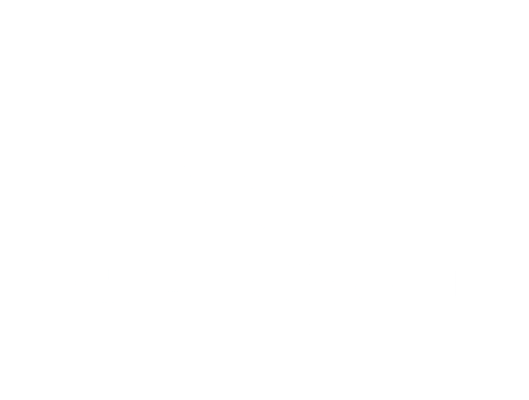Logo Medanoso TV