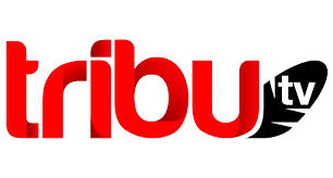 Logo Tribu TV